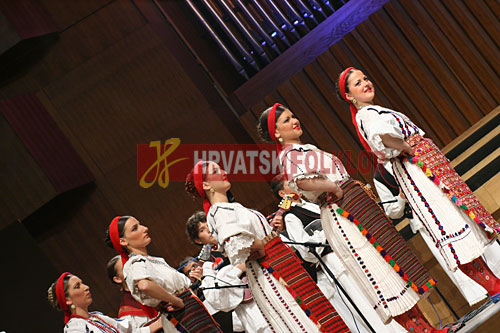 lisinskizeljeznicar (12)